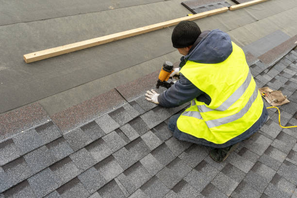 Best Metal Roofing Contractor  in Rome City, IN