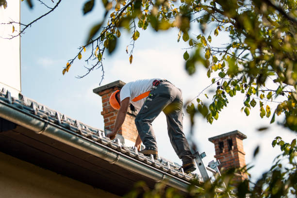 Best Roof Leak Repair  in Rome City, IN