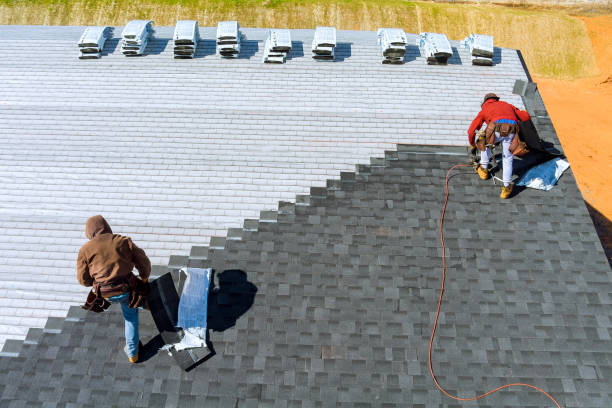 Best Shingle Roofing Installation  in Rome City, IN