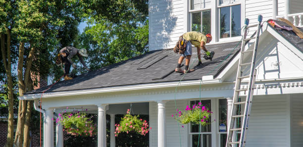 Best Roof Gutter Cleaning  in Rome City, IN