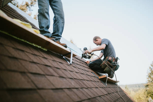 Best Emergency Roof Repair  in Rome City, IN